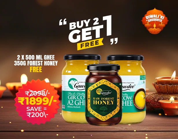 Diwali Buy 2 Get 1 Offer